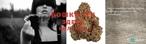 шишки Абинск