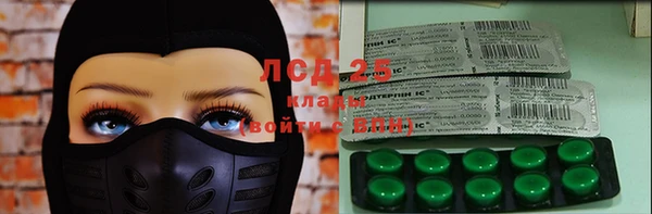 крисы Абаза