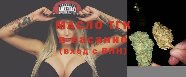 крисы Абаза