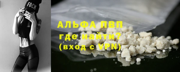 крисы Абаза