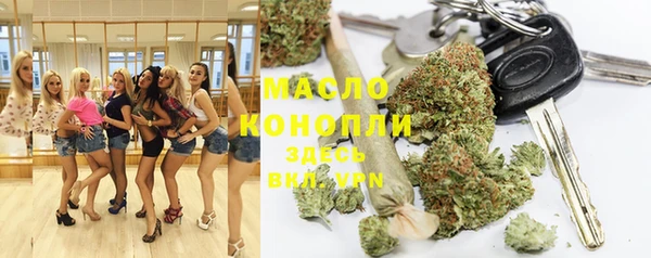 крисы Абаза